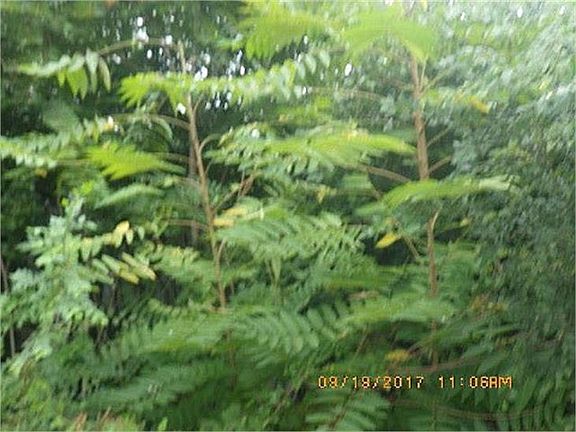 4th image of 17125 Bloom Ave