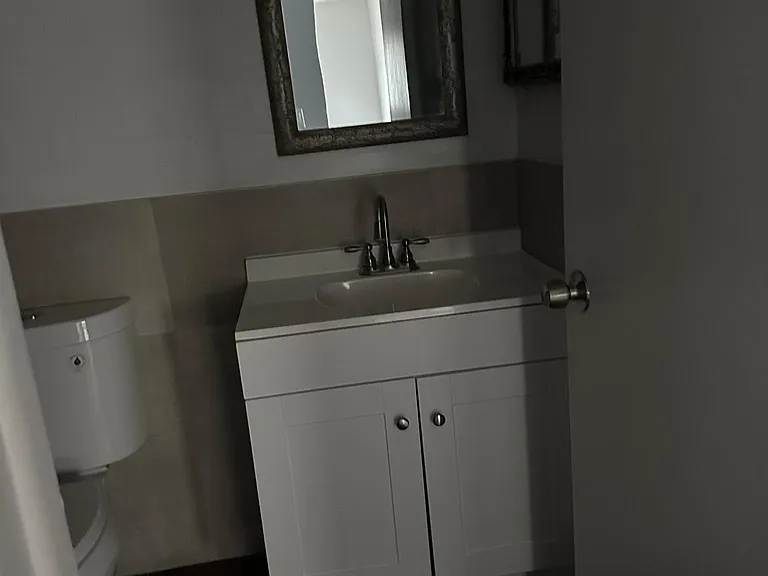 Sorry it's dark, but Vanity and Toilet are new