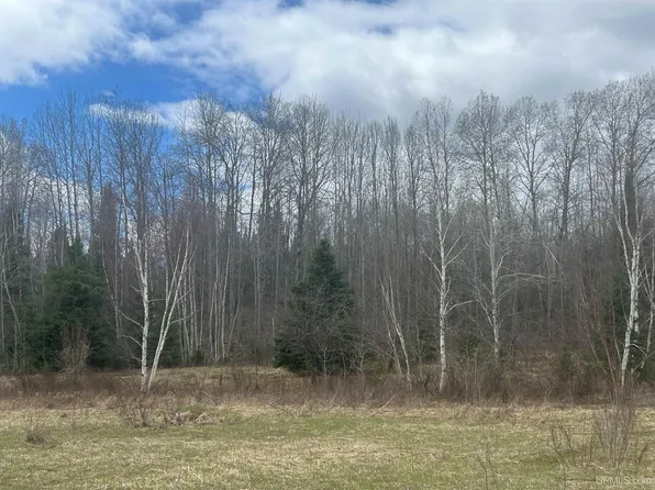 10 Mill Pond Rd #2, Trout Creek, MI 49967