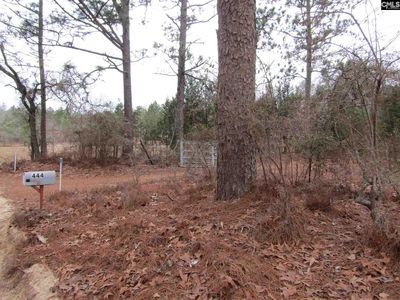 444 Rhoda Rish Rd, Leesville, SC, 29070