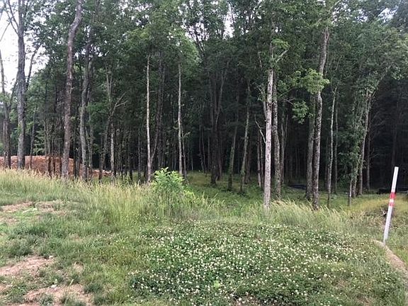 2nd image of 8633 Belladonna Dr Lot 7032