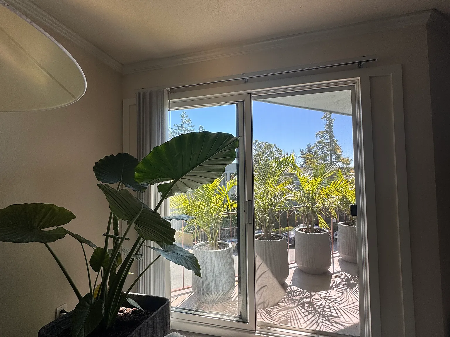 2 bed, 995 sqft, $3,650 — Photo 4