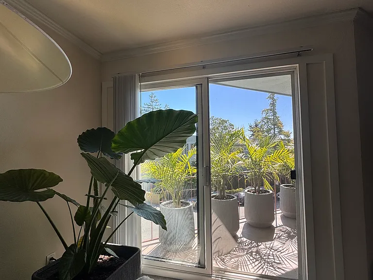 213 Lower Via Casitas — Photo 4