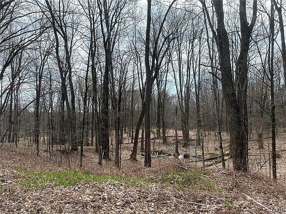 3rd image of N Hillsborough Rd Lot 12