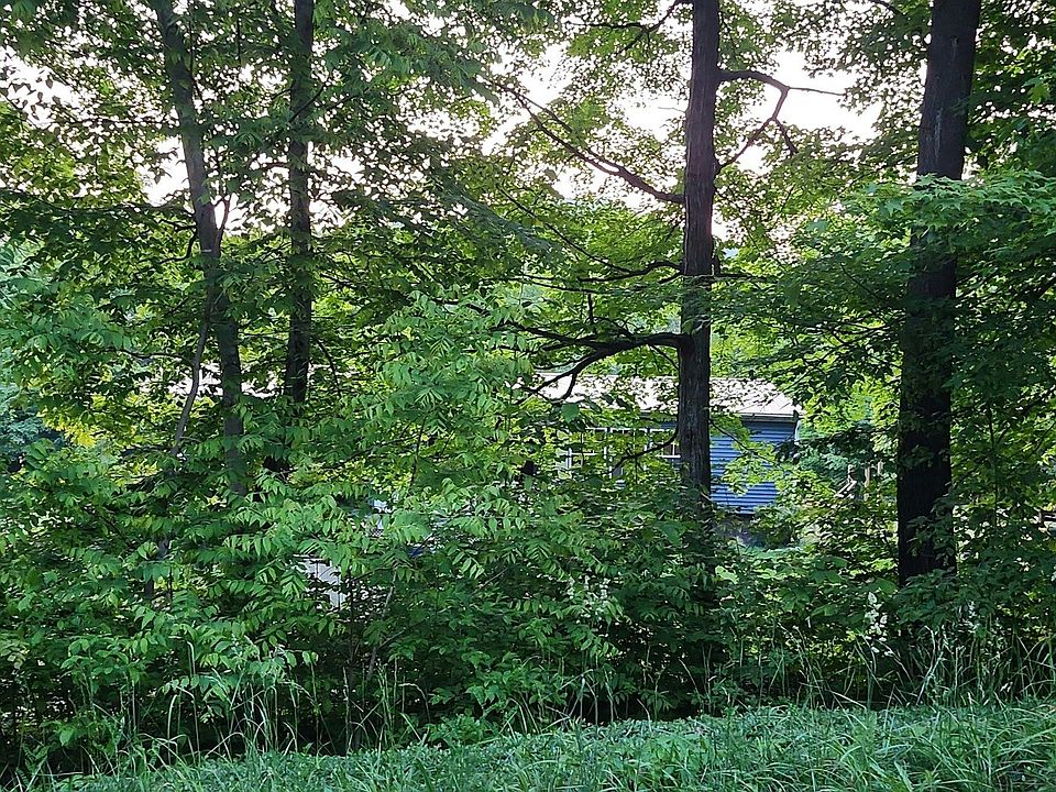 1st image of 113 Hyner Run Rd #56