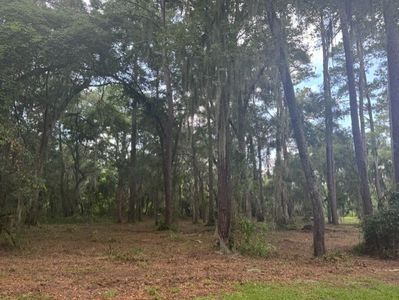 0 Old Cane Mill Rd, Darien, GA, 31305