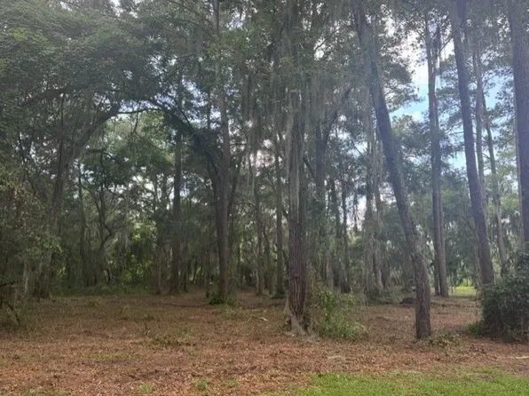 0 Old Cane Mill Rd, Darien, GA 31305