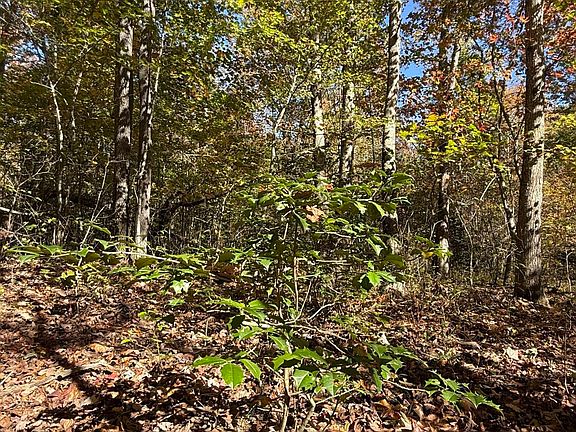 5th image of 0 Owl Hollow Rd Lot 7