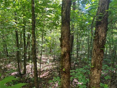 0 Fortner Rd #2, Ball Ground, GA, 30107