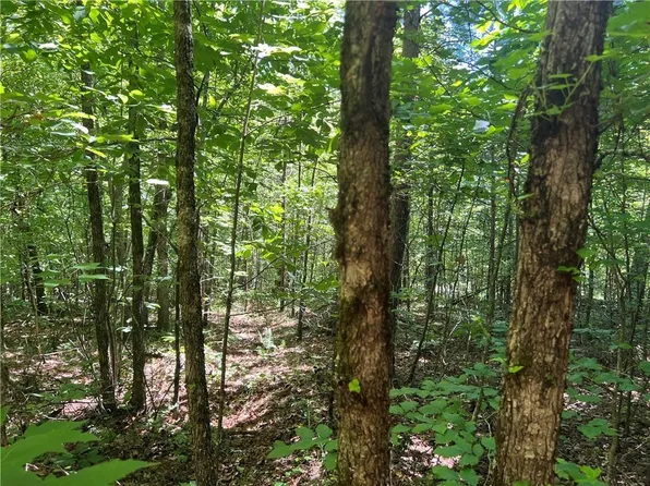 0 Fortner Rd #2, Ball Ground, GA 30107