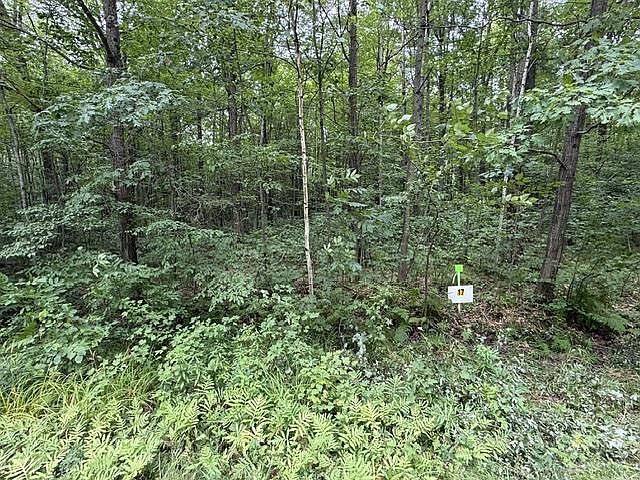 1st image of Lot 17 BURMA ROAD