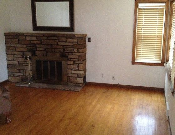 Wood burning fireplace