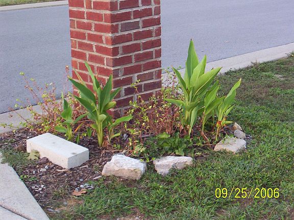 Landscaping