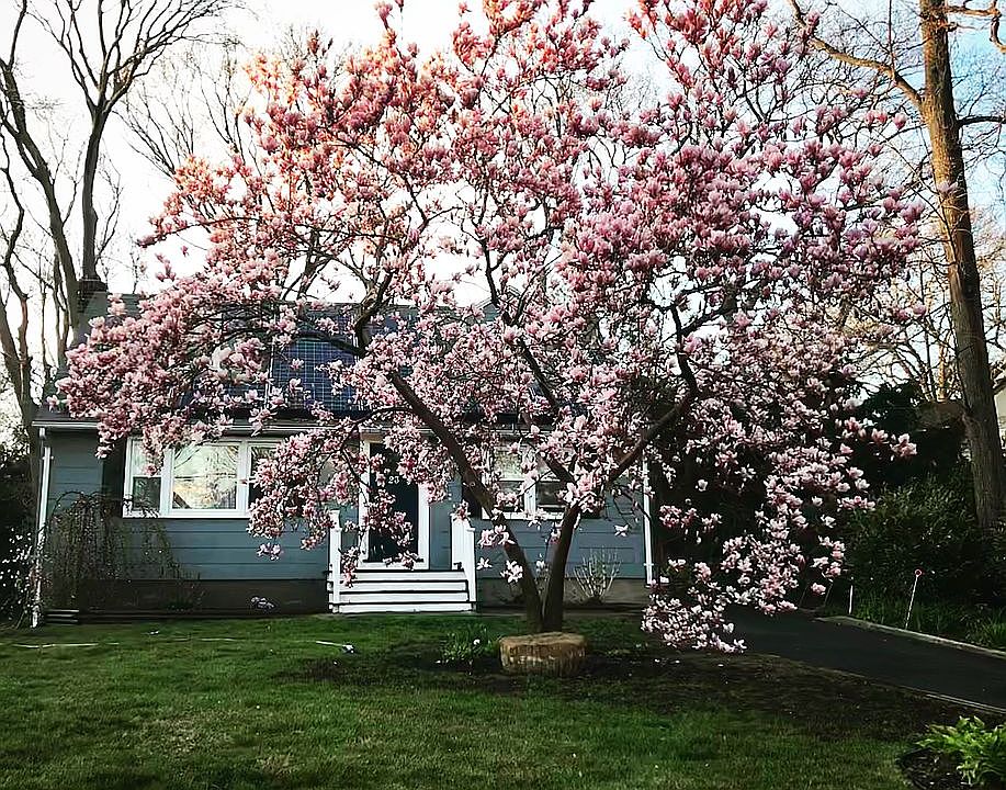 1st image of 23 Edgewood Pl