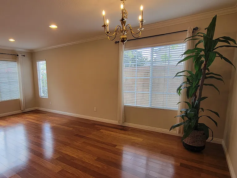 29 Sorenson — Photo 7