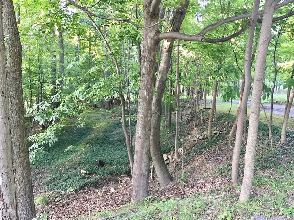 2nd image of 8494 Wallings Rd