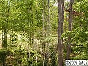 1st image of 9016 Unbridle Ln