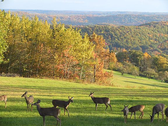 View off of front porch