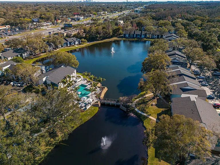 Avion at Carrollwood — Photo 38