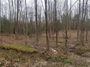 94 Haskins Rd, Erin, NY 14838