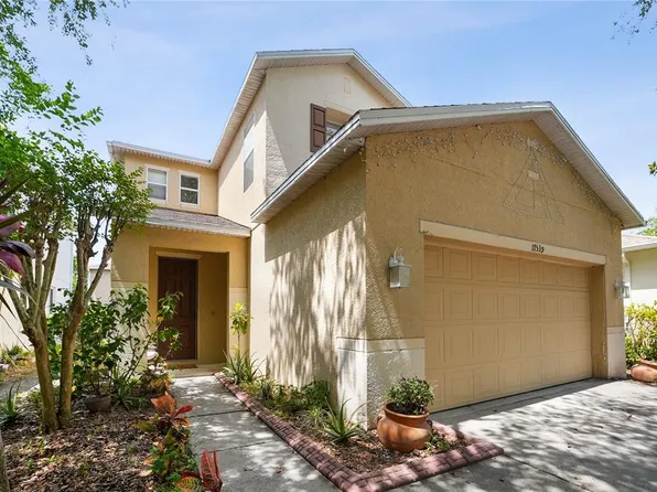 17539 Balmaha Dr, Land O Lakes, FL 34638