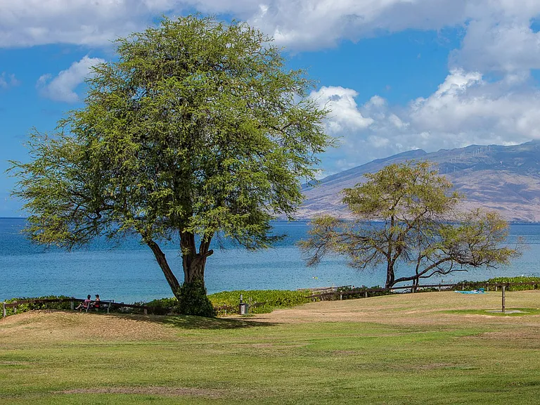 2695 S Kihei Rd #8101 — Photo 37