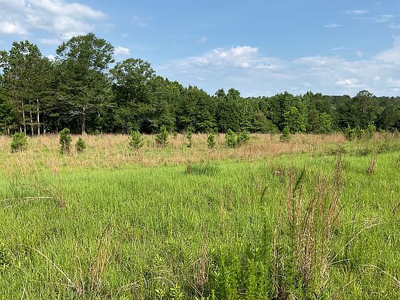 4th image of 220 Pierce Rd