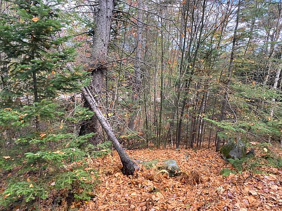 3rd image of Lot 4 Oak Hill Drive