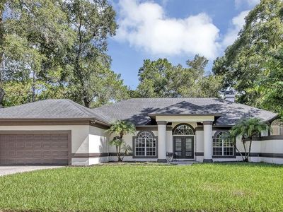 2313 Park Village Pl, Apopka, FL, 32712