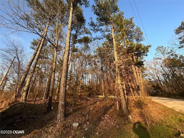 Davis High St #2, Noel, MO 64854