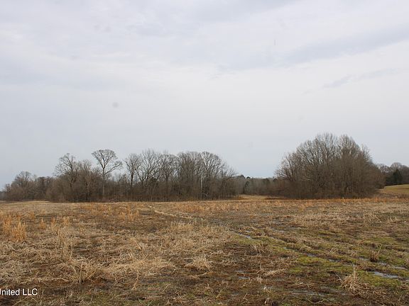 3rd image of 4325 Highway 301 N