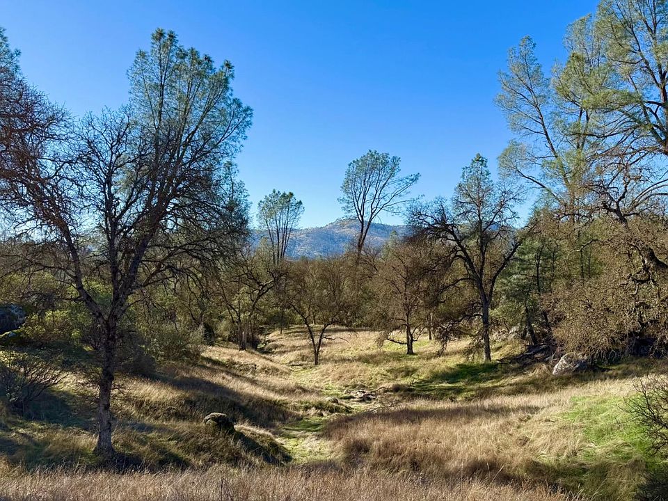 1st image of 4541 Little Buck Rd