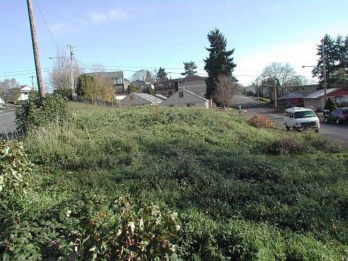 4th image of 1919 Davis Ave