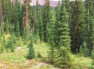 111 Bonnie Bell Lf, Gunnison, CO 81231