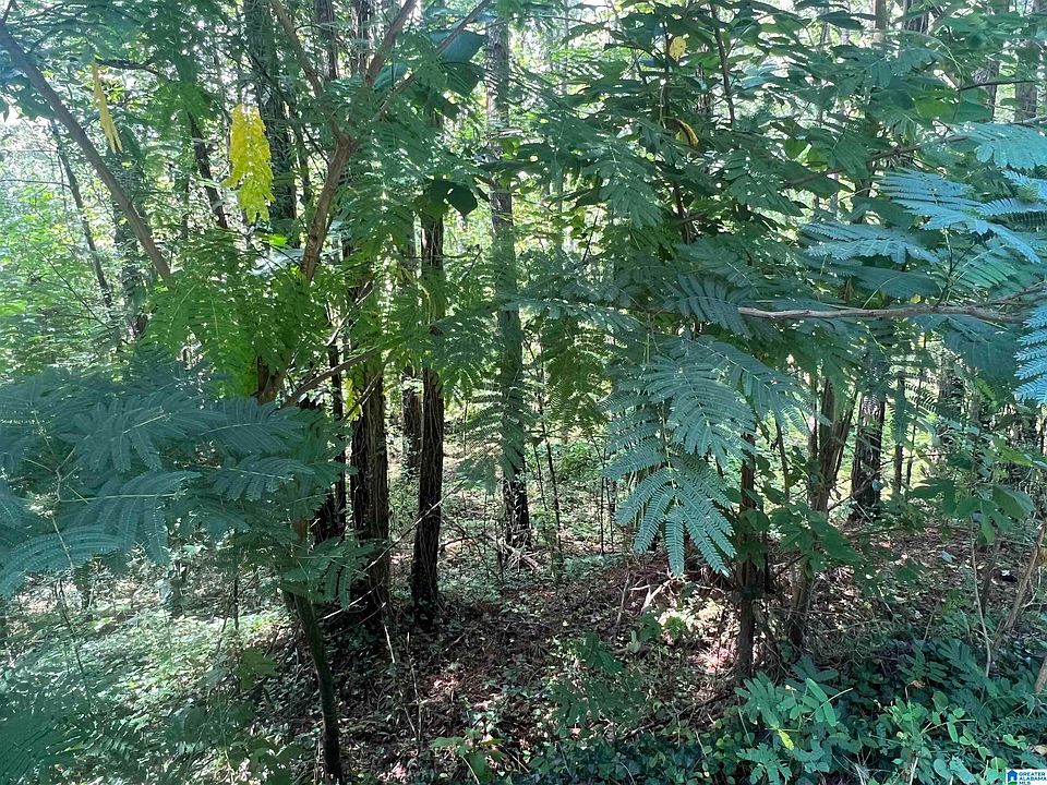 1st image of 12926 S Shore Dr Lot 5