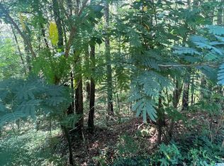 12926 S Shore Dr LOT 5, Vance, AL 35490