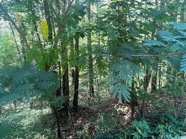 12926 S Shore Dr Lot 5, Vance, AL 35490
