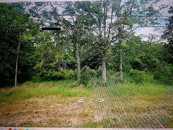 3rd image of 2015 Sandpiper Ln