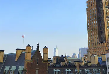 Sold by Carol E Levy