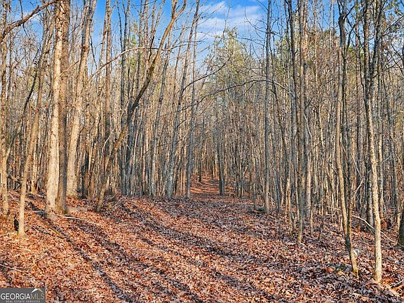 2nd image of 0 Logtown Rd