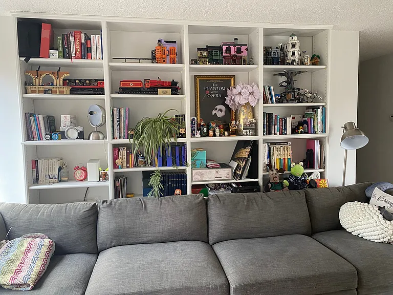 Bright Living Room with Built-Ins
