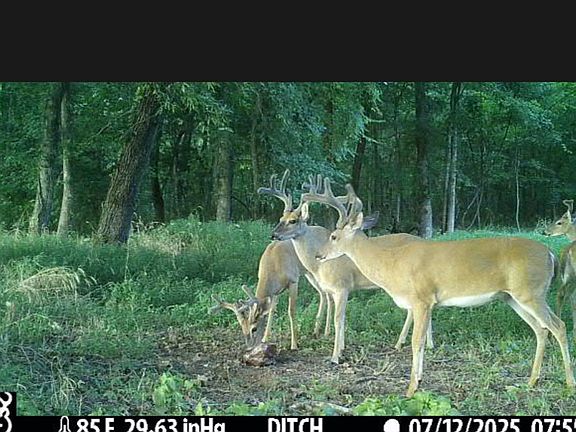3rd image of 700 N Reid Hooker Rd