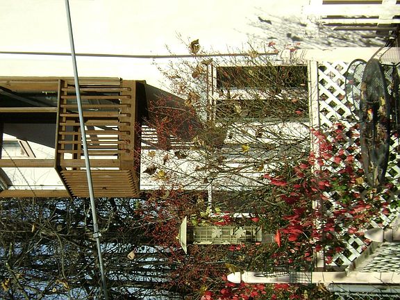 Rear Patio Featues Patio and Koi Pond.