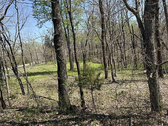 4th image of 0 Highway 49 E Tract 4