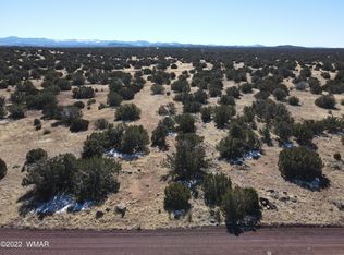 22 County Road 8071, Concho, AZ 85924