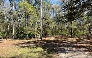 5th image of 2062 NE 100th Street Rd