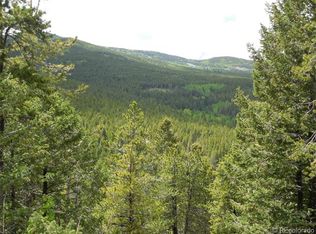 8714 Carol Ln, Conifer, CO 80433