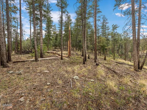 14 County Road 2074, Alpine, AZ 85920