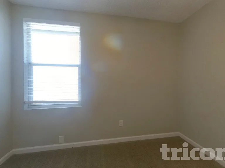 3916 Golden Horn Ln — Photo 11