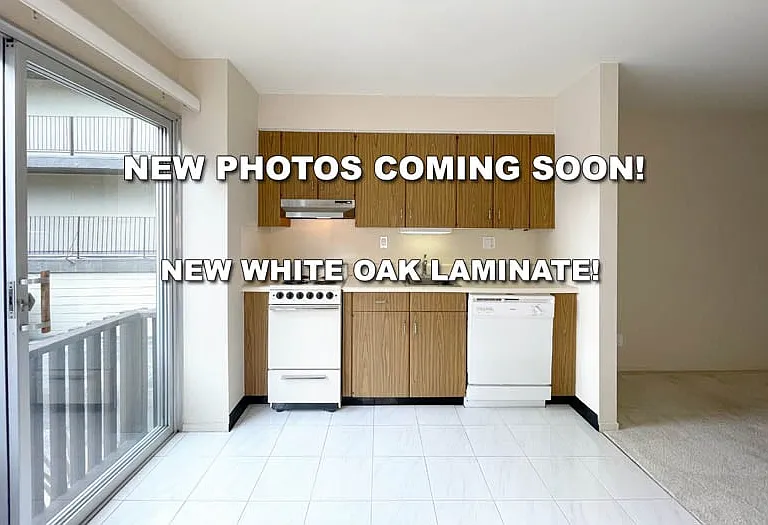 431 Dinahs Ct — Photo 7